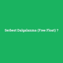 Serbest Dalgalanma (Free Float)