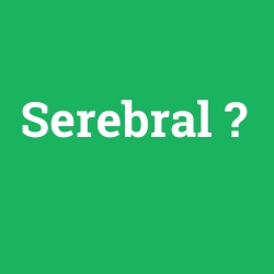 Serebral