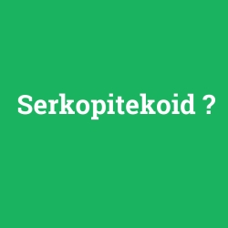 Serkopitekoid