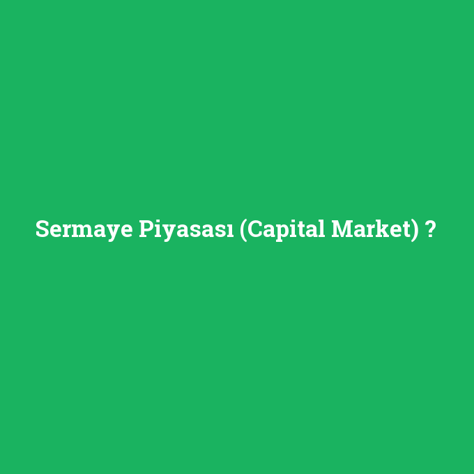 Sermaye Piyasası (Capital Market), Sermaye Piyasası (Capital Market) nedir ,Sermaye Piyasası (Capital Market) ne demek