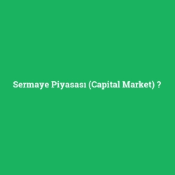 Sermaye Piyasası (Capital Market)