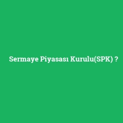 Sermaye Piyasası Kurulu(SPK)