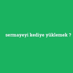 sermayeyi kediye yüklemek