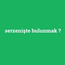serzenişte bulunmak