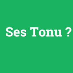 Ses Tonu
