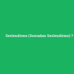 Seslendirme (Sonradan Seslendirme)