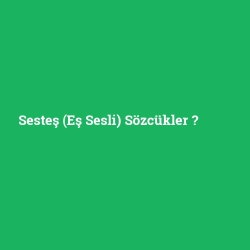 Sesteş (Eş Sesli) Sözcükler