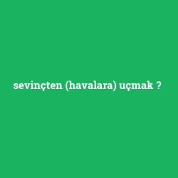 sevinçten (havalara) uçmak