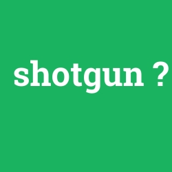 Shotgun