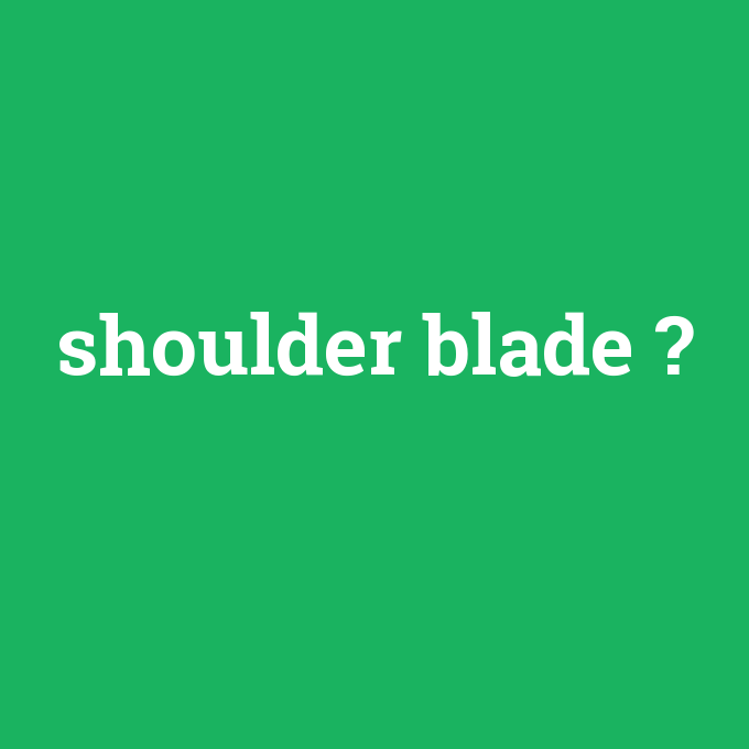 shoulder blade, shoulder blade nedir ,shoulder blade ne demek