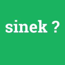 sinek