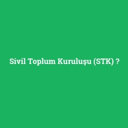 Sivil Toplum Kuruluşu (STK)