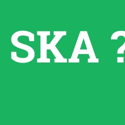 SKA