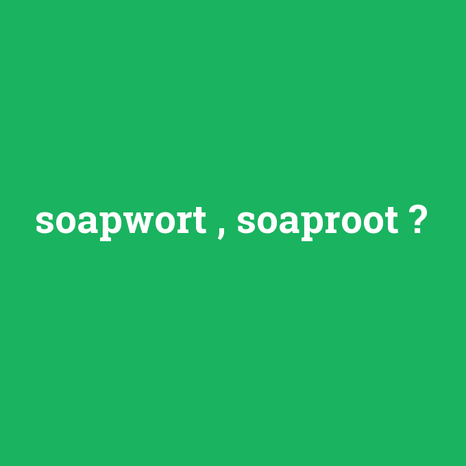 soapwort , soaproot, soapwort , soaproot nedir ,soapwort , soaproot ne demek
