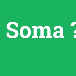 Soma