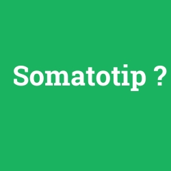 Somatotip