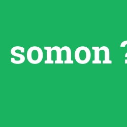 somon