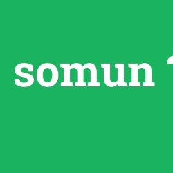 somun