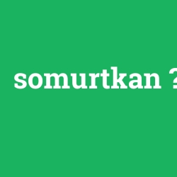 somurtkan