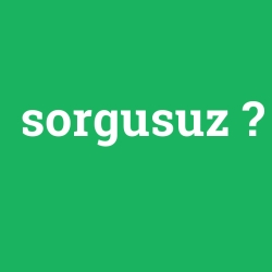 sorgusuz
