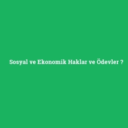 Sosyal ve Ekonomik Haklar ve Ödevler