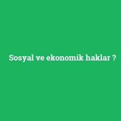 Sosyal ve ekonomik haklar