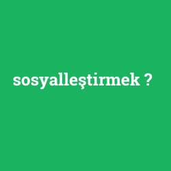 sosyalleştirmek