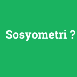 Sosyometri