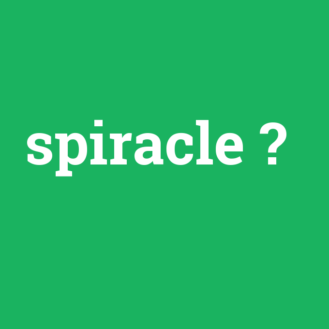 spiracle, spiracle nedir ,spiracle ne demek