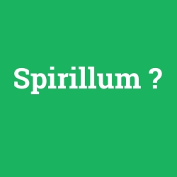 Spirillum