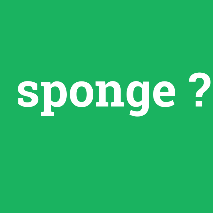 sponge, sponge nedir ,sponge ne demek