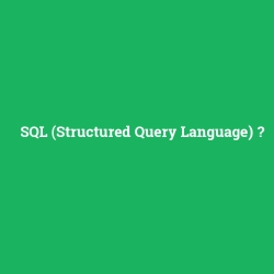 SQL (Structured Query Language)