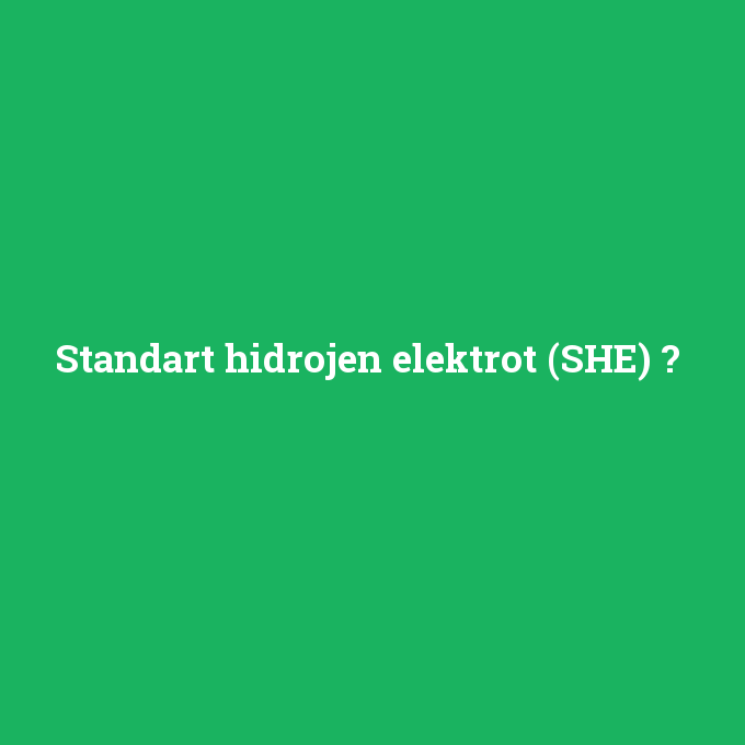 Standart hidrojen elektrot (SHE), Standart hidrojen elektrot (SHE) nedir ,Standart hidrojen elektrot (SHE) ne demek