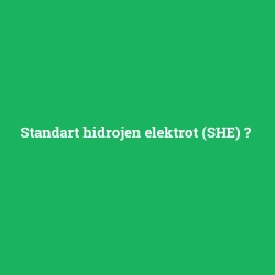 Standart hidrojen elektrot (SHE)