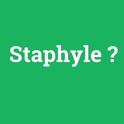 Staphyle