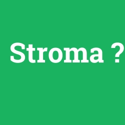 Stroma