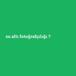 su altı fotoğrafçılığı foto galeri