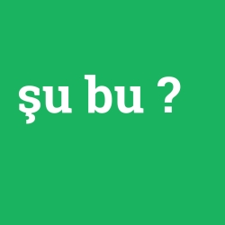 şu bu