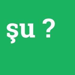 şu