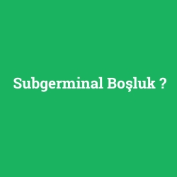 Subgerminal Boşluk