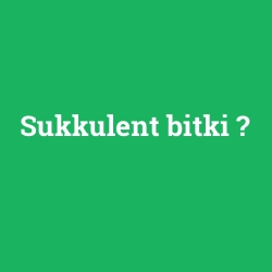 Sukkulent bitki