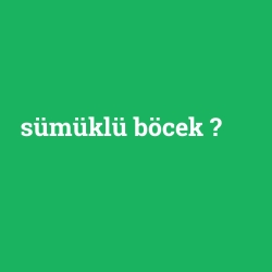 sümüklü böcek