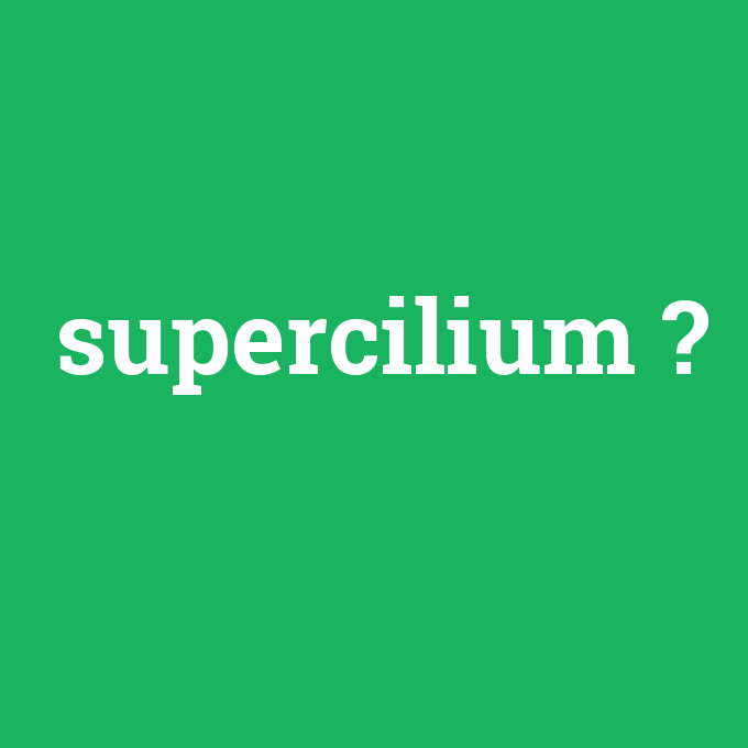 supercilium, supercilium nedir ,supercilium ne demek