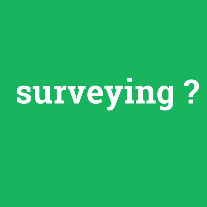 surveying, surveying nedir ,surveying ne demek