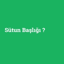 Sütun Başlığı