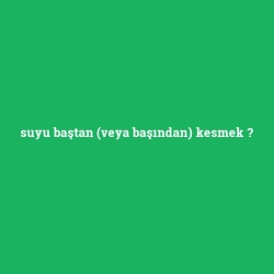 suyu baştan (veya başından) kesmek