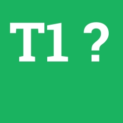 T1