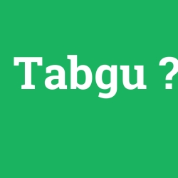 Tabgu