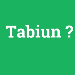Tabiun