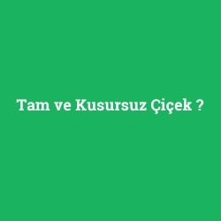 Tam ve Kusursuz Çiçek